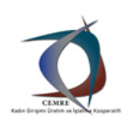 Yeni Proje 2024 08 29T174341.805