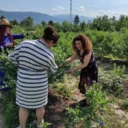 Gunesin Kadinlari Duzce Kooperatifi 768x981 1