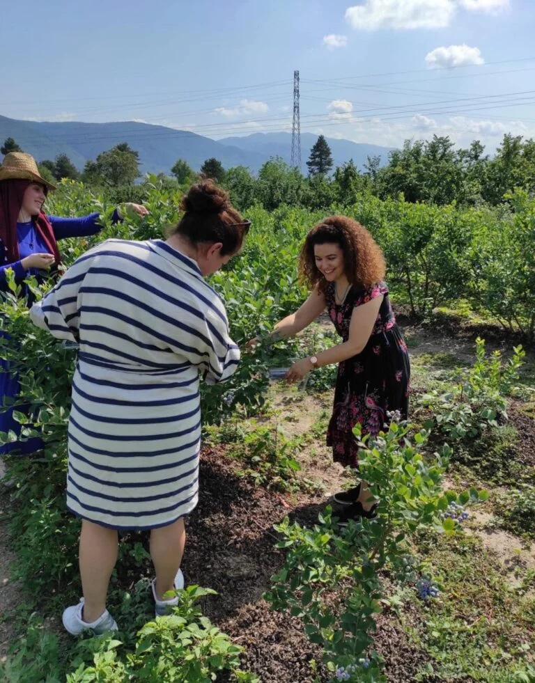 Gunesin Kadinlari Duzce Kooperatifi 768x981 1