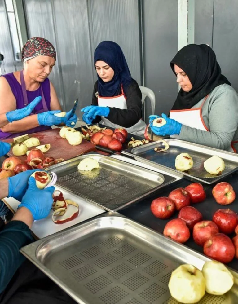 Meryem Kadin Kooperatifi 768x981 1