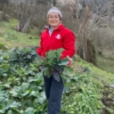 Ortakbahce Kadin Kooperatifi 768x981 1